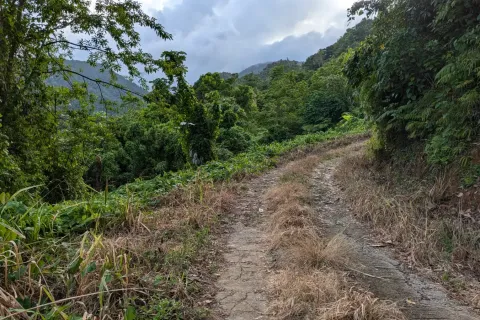 8094m² Land in La Plaine, Dominica No. 66235 24