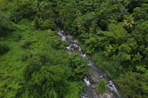 8094m² Land in La Plaine, Dominica No. 66235 6