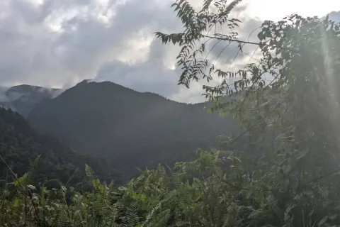 8094m² Land à La Plaine, Dominica No. 66235 10