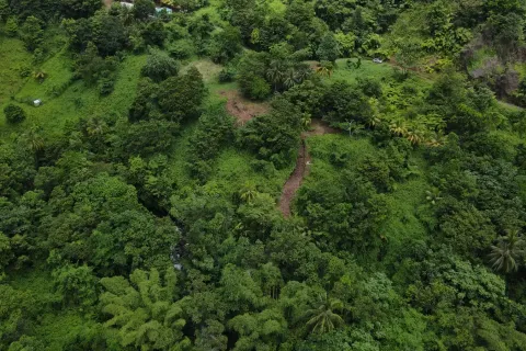 8094m² Land à La Plaine, Dominica No. 66235 15