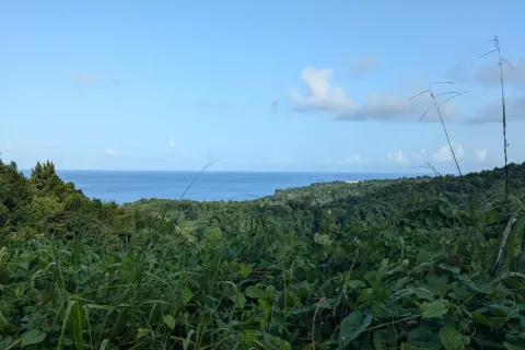 8094m² Land à La Plaine, Dominica No. 66235 5