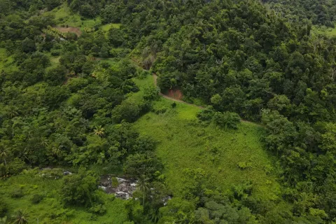 8094m² Land en La Plaine, Dominica No. 66235 29