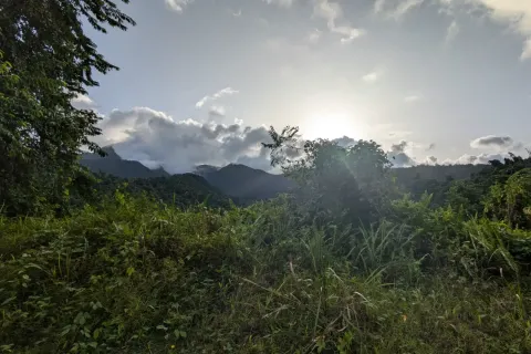 8094m² Land in La Plaine, Dominica No. 66235 1