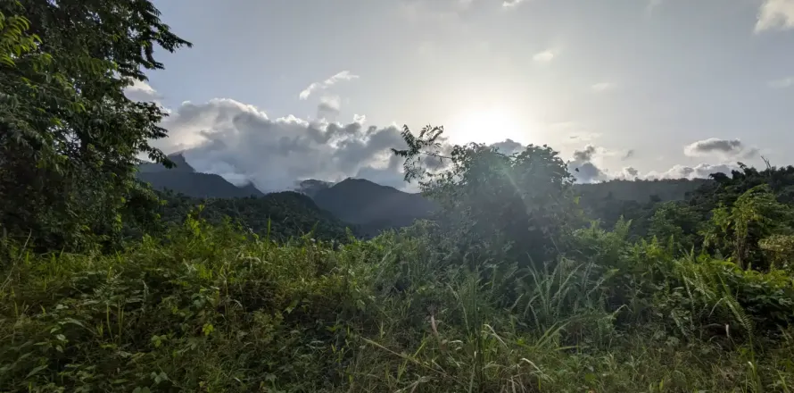 8094m² Land in La Plaine, Dominica No. 66235