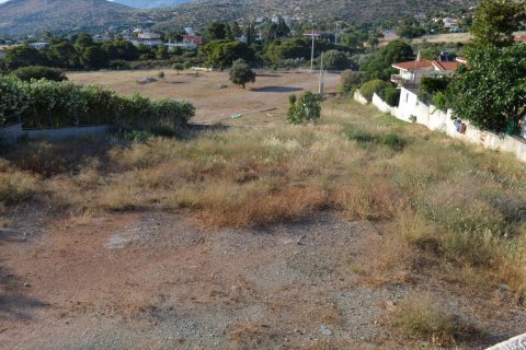 5 chambres House à Palaia Fokaia, Greece No. 58686 6