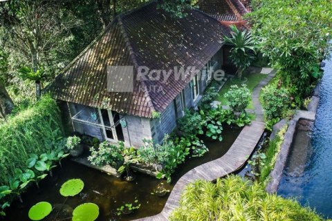 4 bedrooms Villa in Canggu, Indonesia No. 22874 3