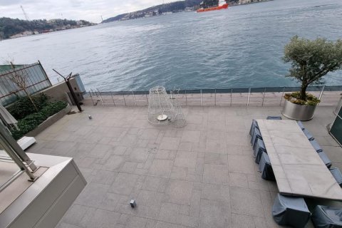 8+2 Villa in Istanbul, Turkey No. 15086 4