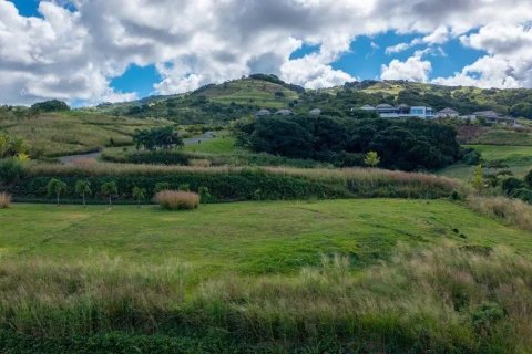 1367m² Land in Bel Ombre, Mauritius No. 53420 11