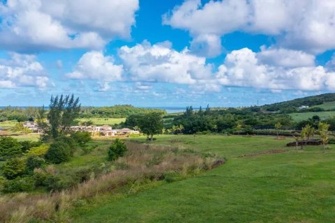 1367m² Land in Bel Ombre, Mauritius No. 53420 9