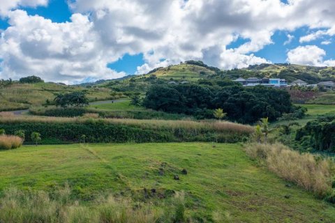 1367m² Land à Bel Ombre, Maurice No. 53420 8