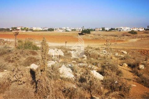 10465m² Land in Deryneia, Cyprus No. 66013 4