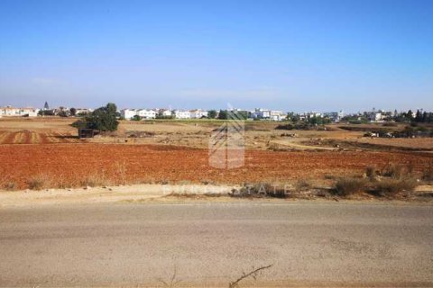 10465m² Land in Deryneia, Cyprus No. 66013 1