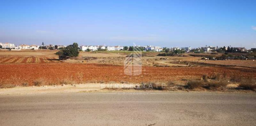 10465m² Land in Deryneia, Cyprus No. 66013