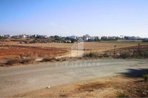 10465m² Land in Deryneia, Cyprus No. 66013 3