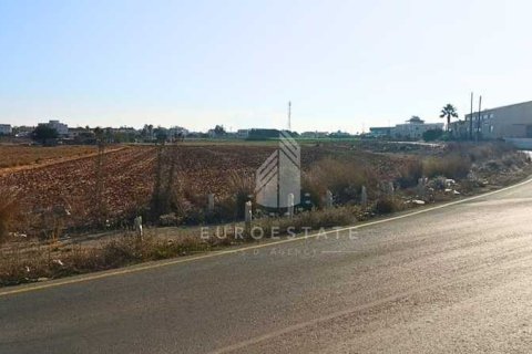 10465m² Land in Deryneia, Cyprus No. 66013 5