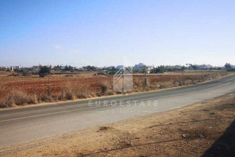 10465m² Land in Deryneia, Cyprus No. 66013 7