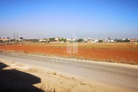 10465m² Land in Deryneia, Cyprus No. 66013 6