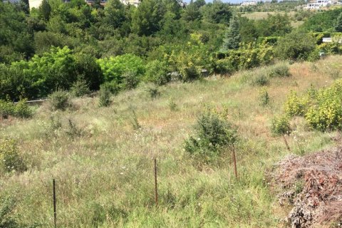 2500m² Land in Panorama, Greece No. 58012 2