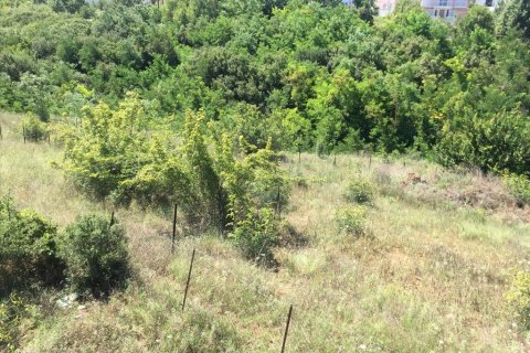 2500m² Land à Panorama, Greece No. 58012 4