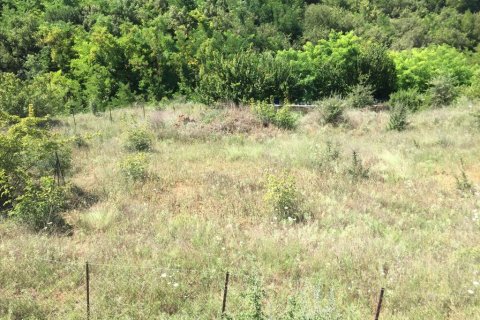 2500m² Land in Panorama, Greece No. 58012 5