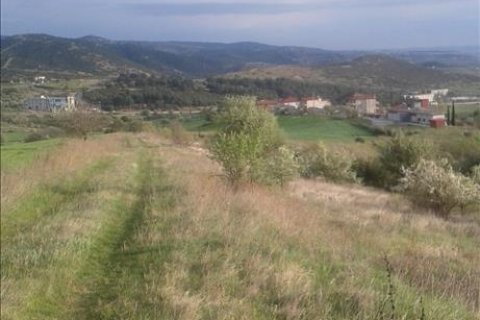 12737m² Land à Mygdonia, Greece No. 58234 2