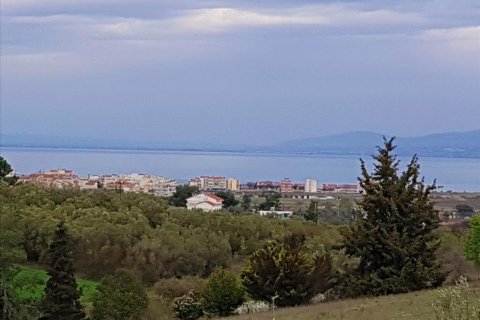 12000m² Land in Thessaloniki, Greece No. 58233 1