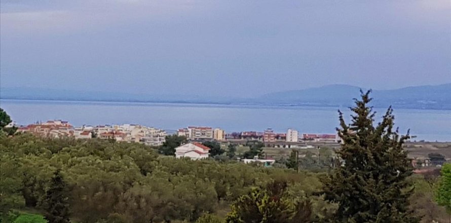 12000m² Land in Thessaloniki, Greece No. 58233