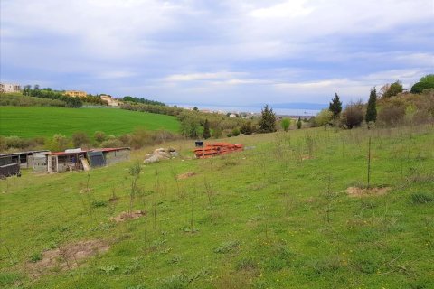 12000m² Land in Thessaloniki, Greece No. 58233 6