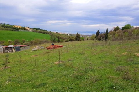 12000m² Land in Thessaloniki, Greece No. 58233 3