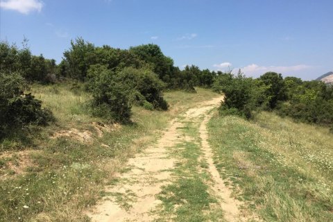 12100m² Land à Chortiatis, Greece No. 58013 6