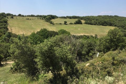 12100m² Land en Chortiatis, Greece No. 58013 5