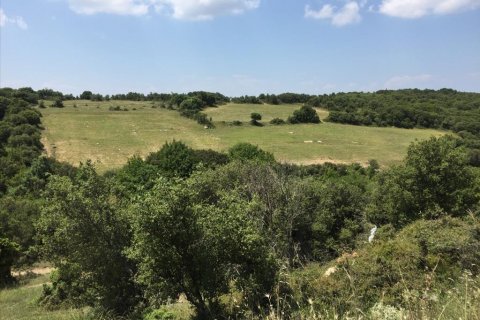 12100m² Land en Chortiatis, Greece No. 58013 1