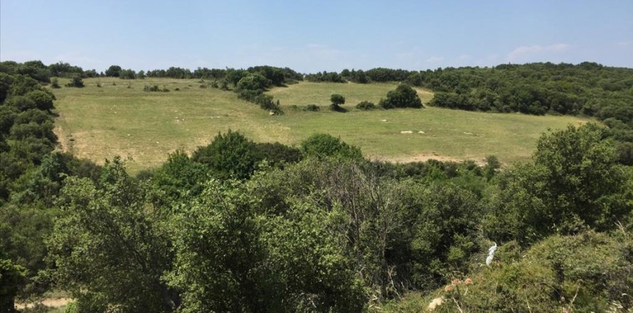 12100m² Land in Chortiatis, Greece No. 58013