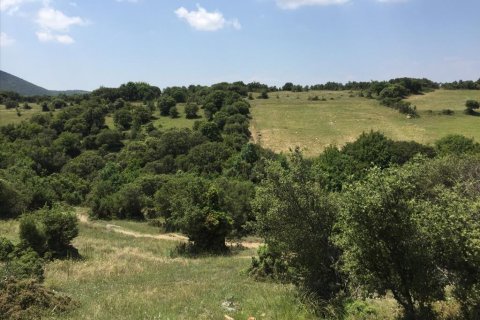 12100m² Land in Chortiatis, Greece No. 58013 2