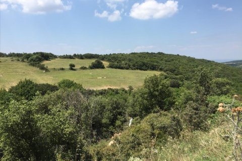 12100m² Land en Chortiatis, Greece No. 58013 3