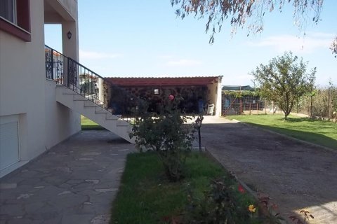 3 dormitorios House en Thermaic Gulf, Greece No. 58235 8