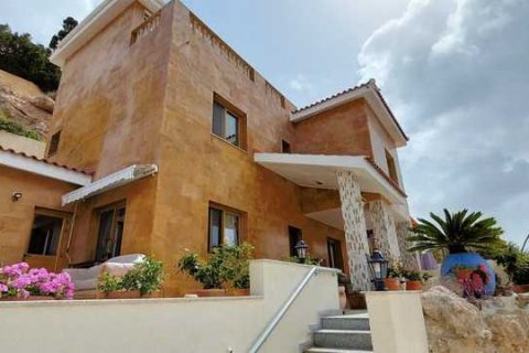 4 bedrooms House in Chloraka, Cyprus No. 43068 4