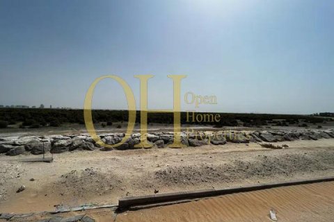 1350.2m² Land on the Yas Island, UAE No. 8602 4