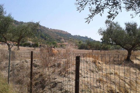 Land en Zakynthos, Greece No. 24702 5