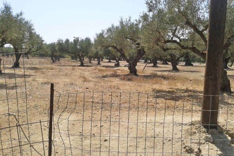 Land in Zakynthos, Greece No. 24702 8