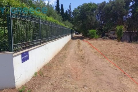 1446m² Land in Kalamata, Greece No. 24821 2