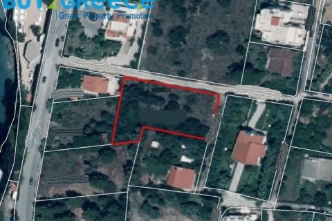 Земельный участок 1446м² в Каламата, Греция №24821 6