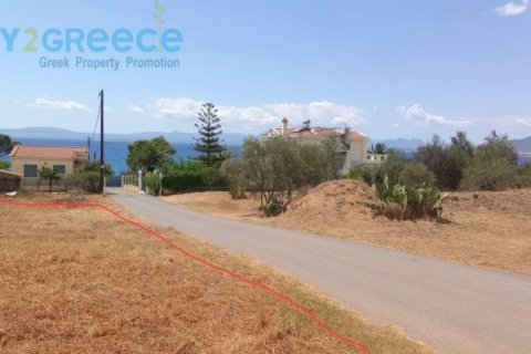 1446m² Land in Kalamata, Greece No. 24821 1