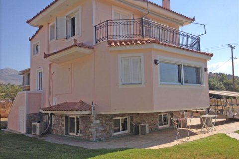 11 bedrooms Villa in Central Greece, Greece No. 49047 14