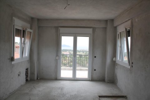 Отель, гостиница 685м² в Халкидики, Греция №49044 9