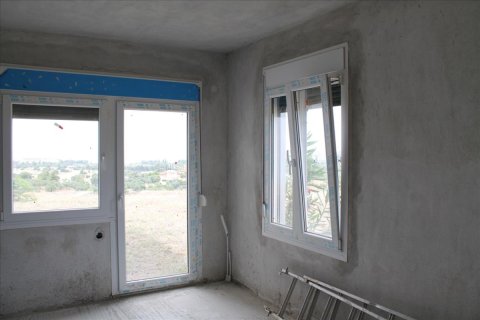 Отель, гостиница 685м² в Халкидики, Греция №49044 11