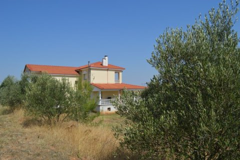 4 chambres House à Mygdonia, Greece No. 55998 26