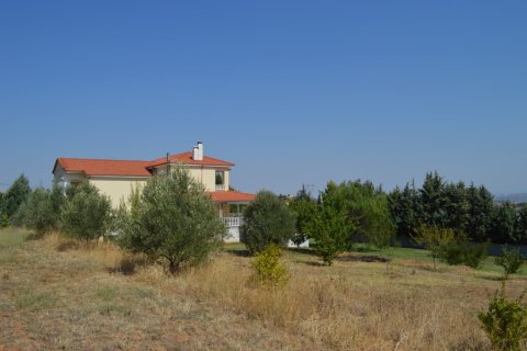 4 dormitorios House en Mygdonia, Greece No. 55998 25