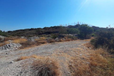 26133m² Land en Larnaca, Cyprus No. 72286 2