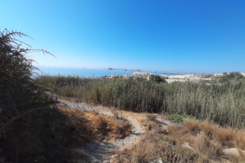 26133m² Land en Larnaca, Cyprus No. 72286 1